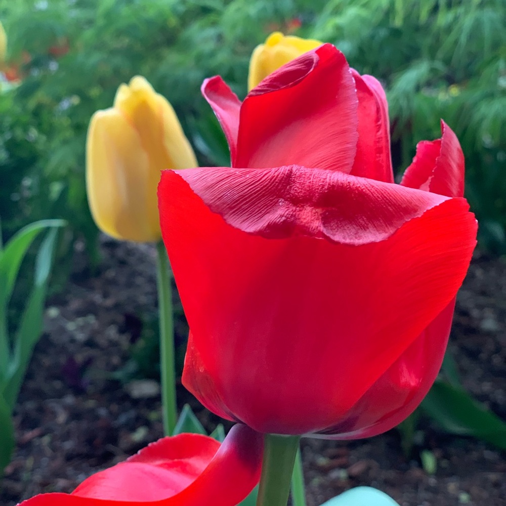 Meet your Posher, Stephanie